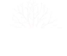 SobestacnaZahrada.cz