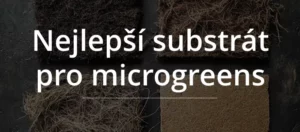 srovnání substrátů pro pěstování microgreens doma