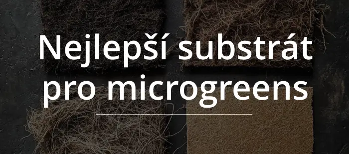 srovnání substrátů pro pěstování microgreens doma