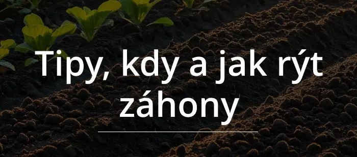kdy a jak rýt záhon