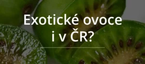 exotické ovoce v ČR